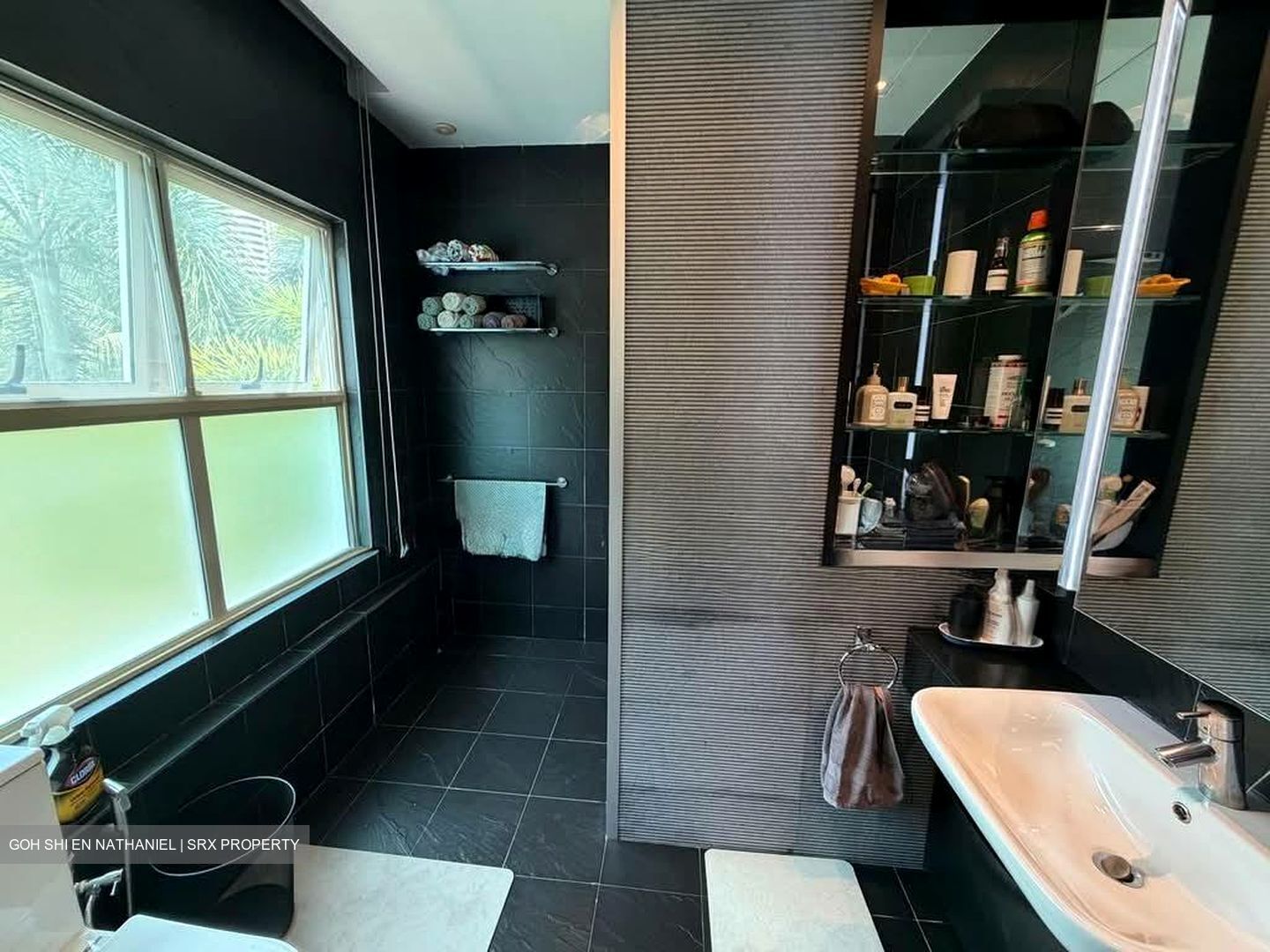 Balmoral 8 (D10), Condominium #602799601
